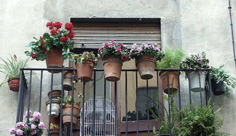 xây lan can sân thượng trồng hoa