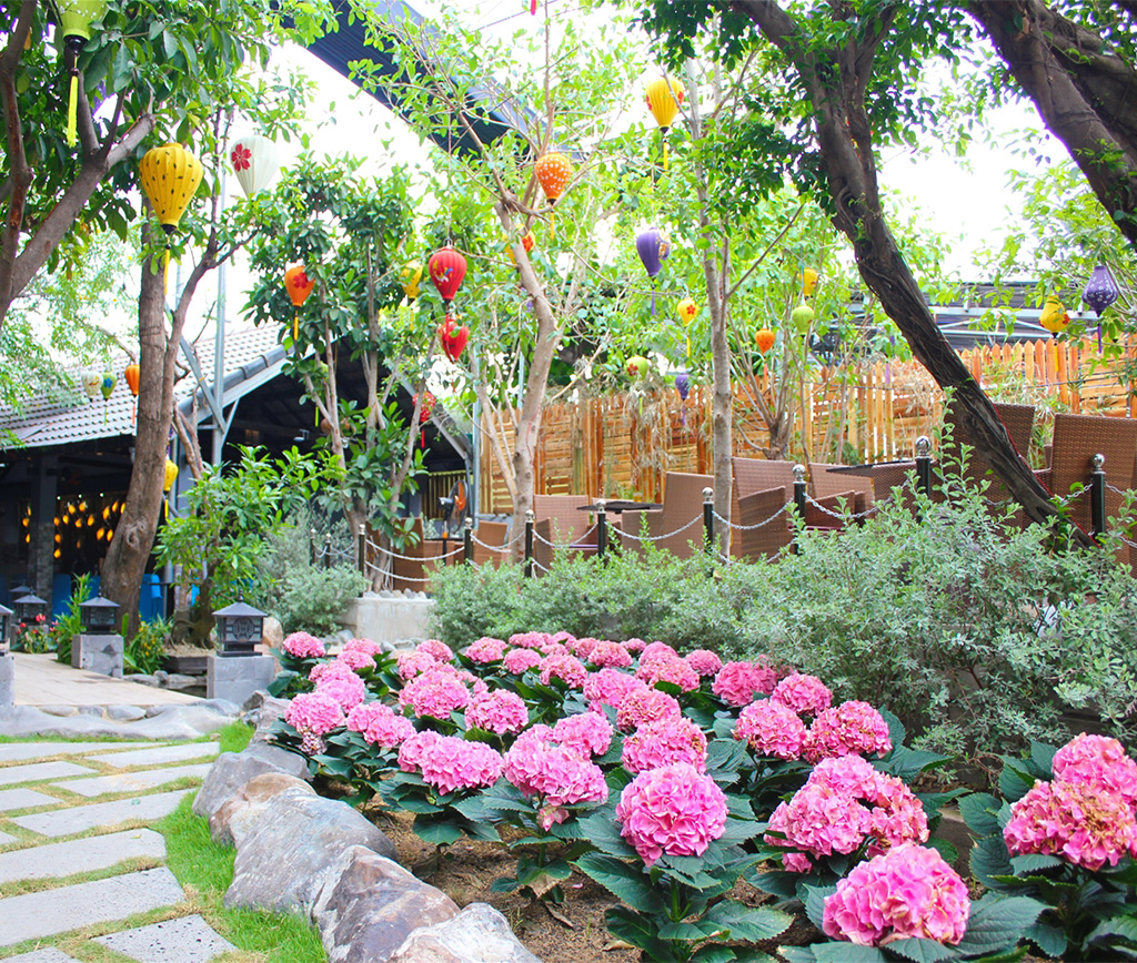 Lựa chọn cây xanh cho quán cafe sân vườn