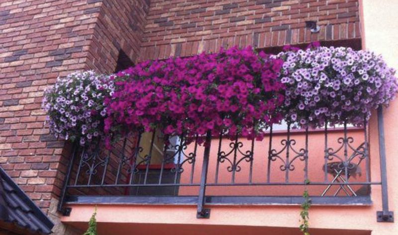 xây lan can sân thượng