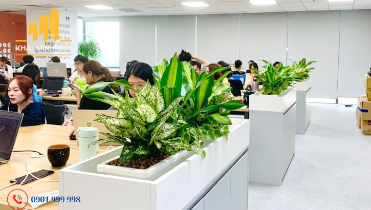 Ưu tiên những loại cây có màu sắc phù hợp với không gian tổng thể