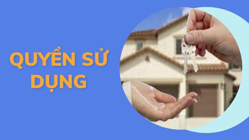 chủ thể nào không có quyền sử dụng tài sản