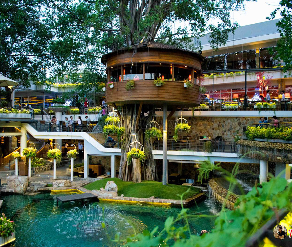 Thiết kế quán cafe sân vườn đẹp