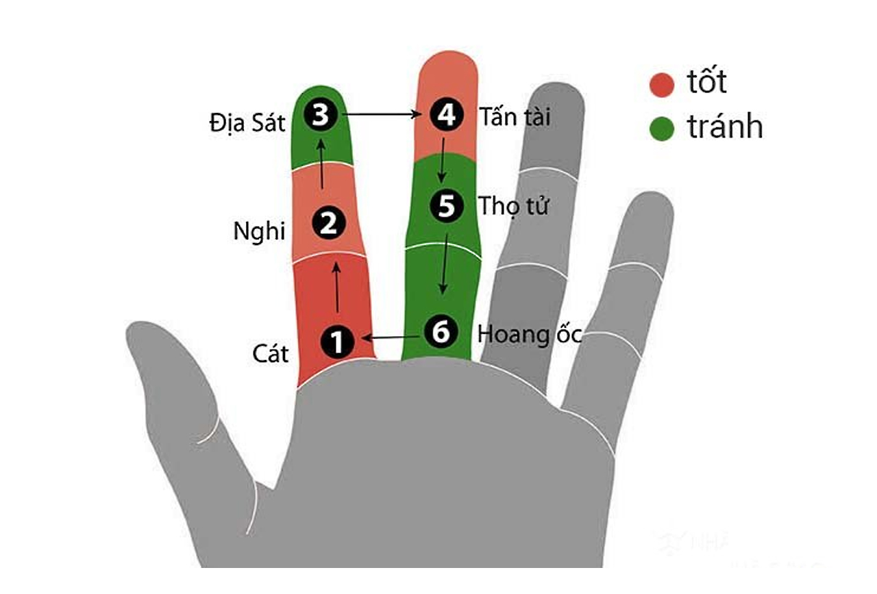 Tính hoàn ốc trên đầu ngón tay