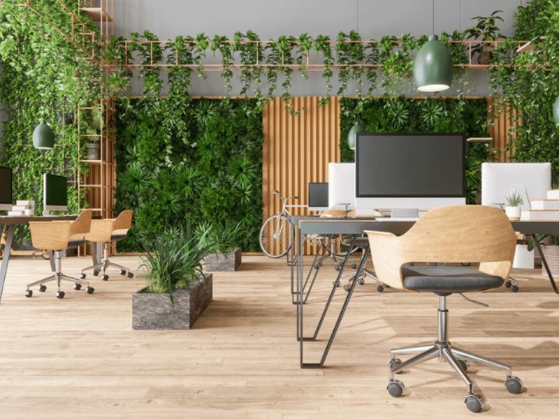Thiết kế văn phòng có hệ thống tường xanh