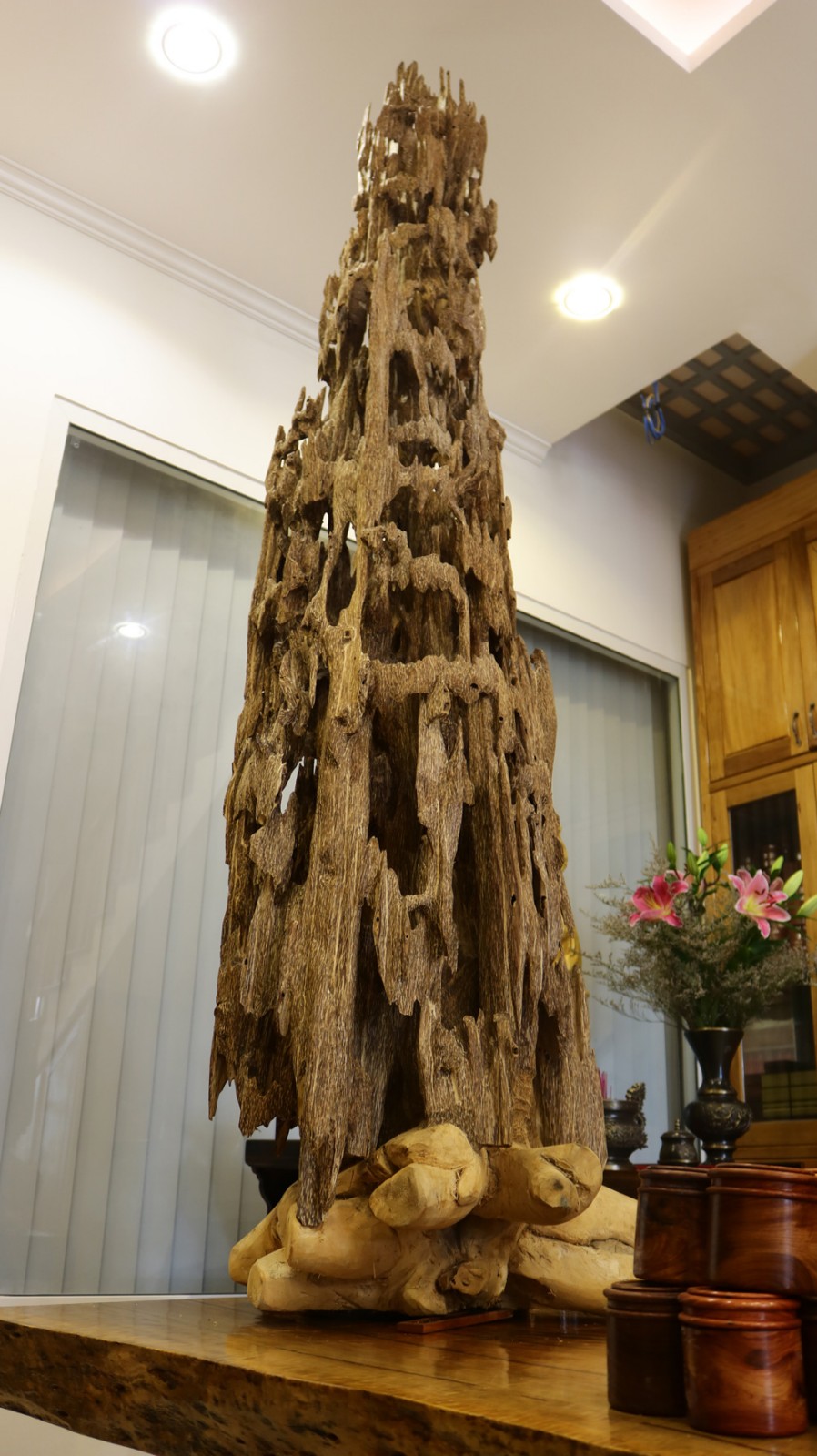 Tại sao Trầm Hương là loại cây danh giá? Tại sao Trầm Hương là loại cây danh giá?