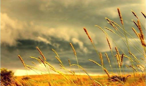 Vì sao gió ban ngày mạnh hơn ban đêm? Vì sao gió ban ngày mạnh hơn ban đêm?
