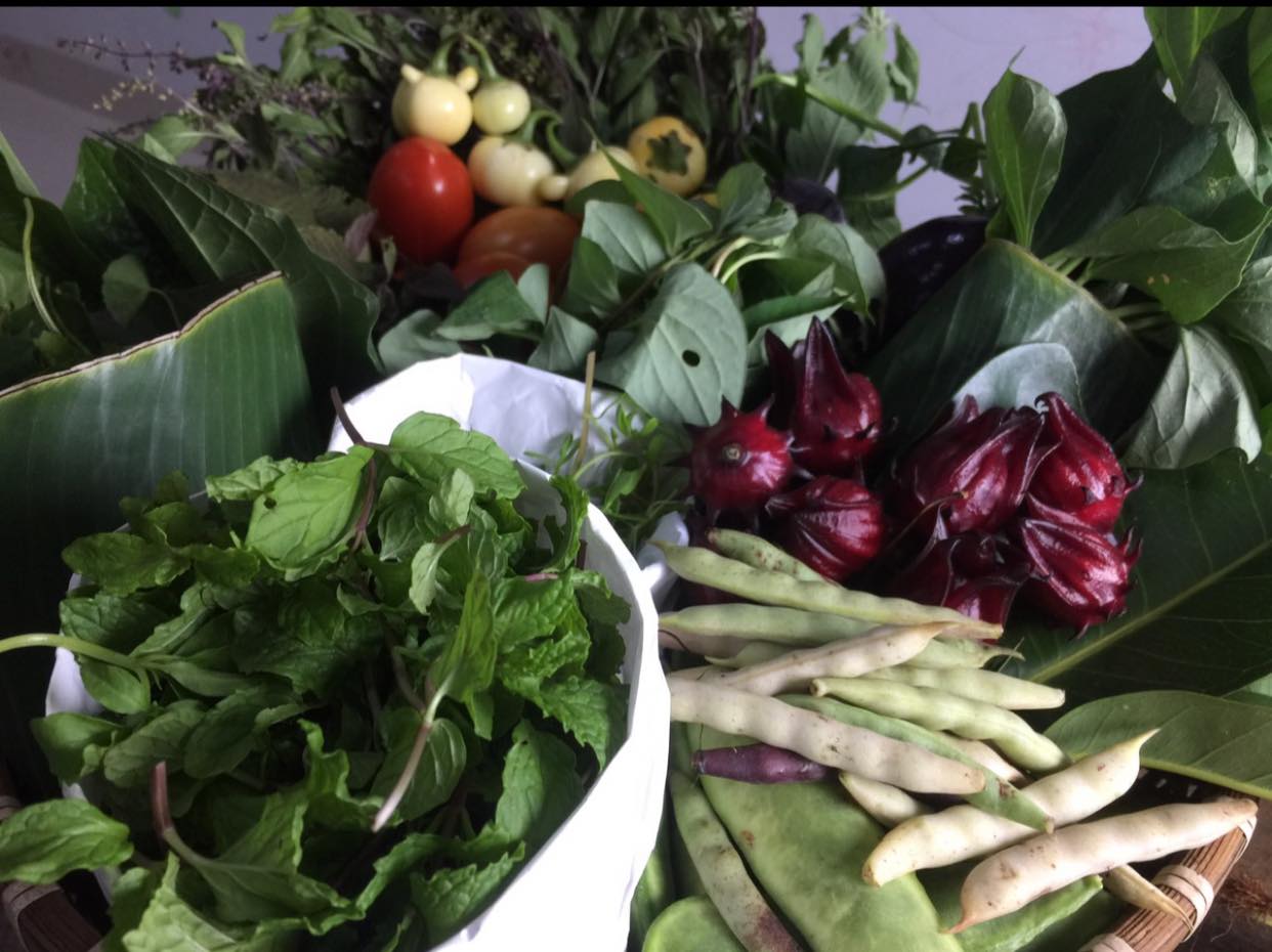 RA MẮT GIỎ RAU CỦ QUẢ VƯỜN RỪNG NOOMFOOD TẠI HÀ NỘI. RA MẮT GIỎ RAU CỦ QUẢ VƯỜN RỪNG NOOMFOOD TẠI HÀ NỘI.