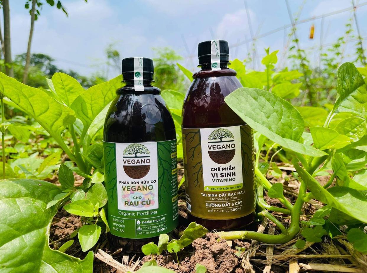 VEGANO phân bón chuẩn hữu cơ VEGANO phân bón chuẩn hữu cơ