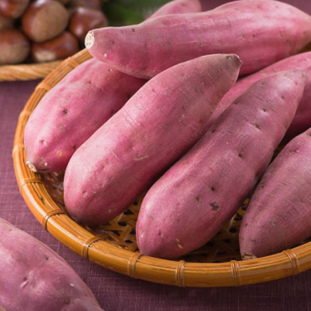 Japanese sweet potato Beniazuma