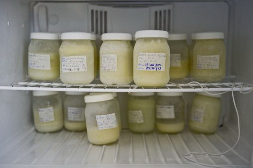 Bảo quản sữa bột đã pha trong ngăn mát tủ lạnh giúp sữa vẫn giữ nguyên chất lượng khi sử dụng lần tiếp theo.