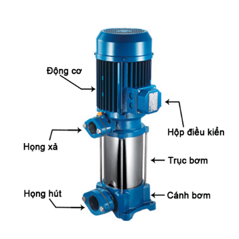 bơm trục đứng