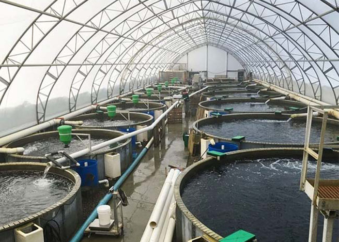 công nghệ xử lý nước nuôi trồng thủy sản