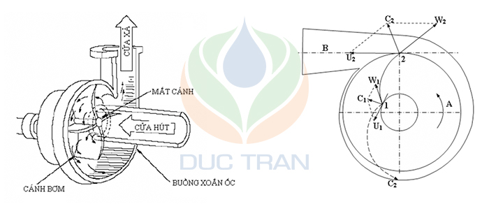 Nguyên lý hoạt động bơm trục ngang