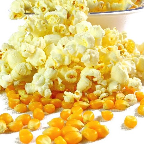 CÁCH LÀM BẮP RANG BƠ TỪ NGÔ HỮU CƠ VÀ BƠ GHEE CÁCH LÀM BẮP RANG BƠ TỪ NGÔ HỮU CƠ VÀ BƠ GHEE