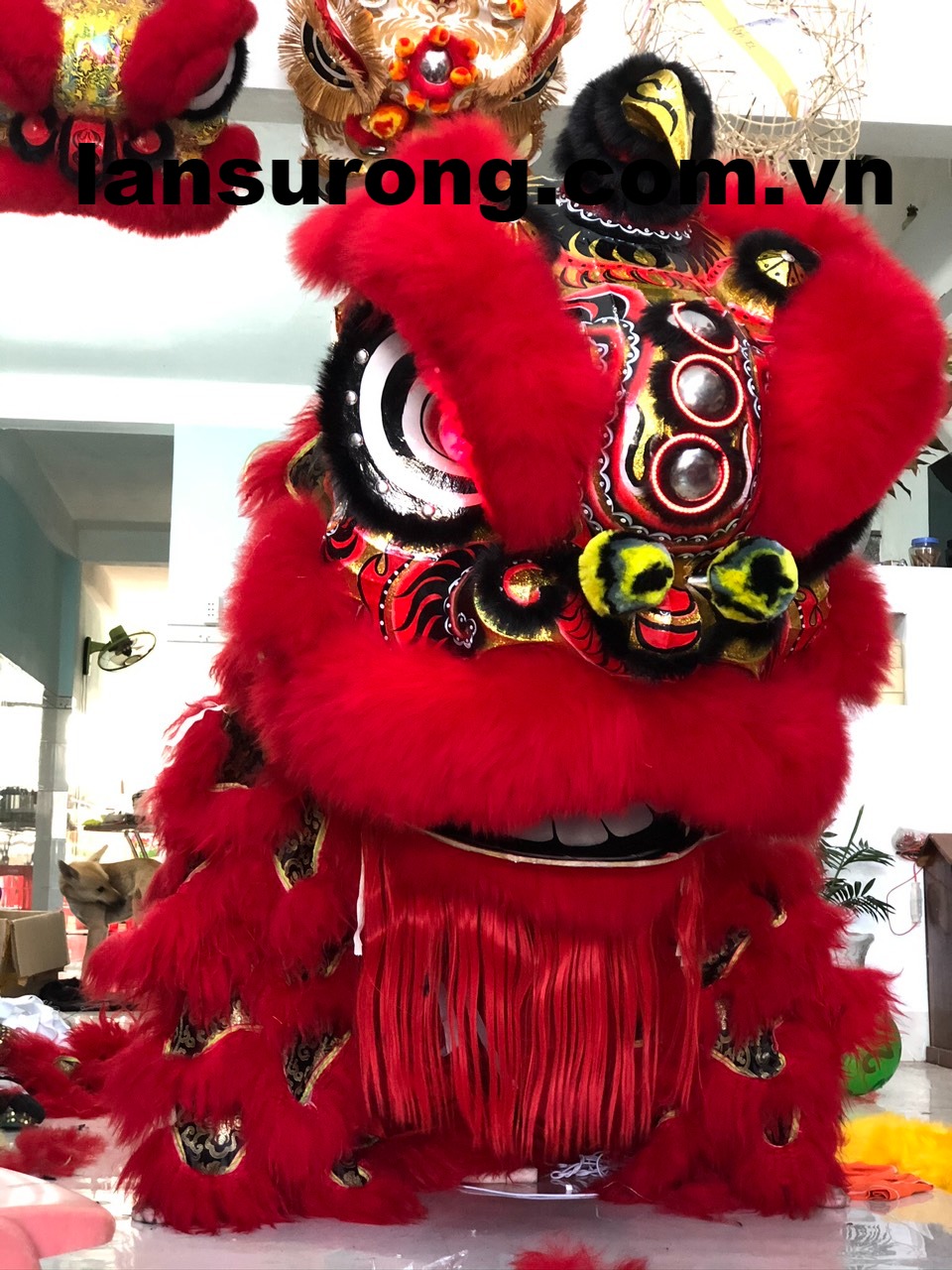 lân mengkok nhìn rất dữ