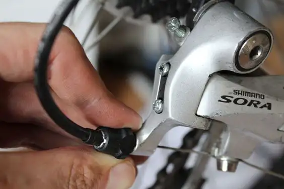 cu-de-xe-dap-the-thao