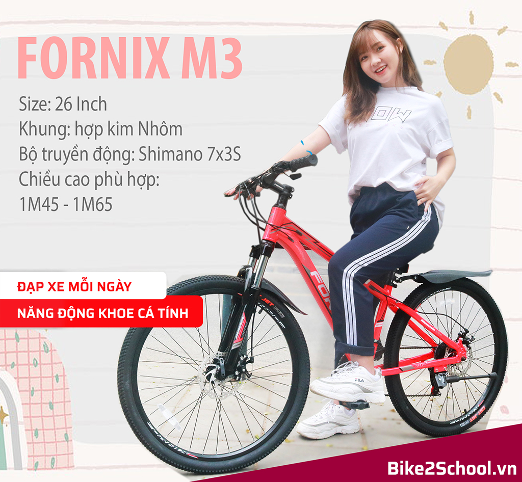 Fornix M3