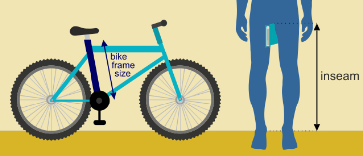 Cách lựa chọn size xe đạp chính xác nhất Bike2school