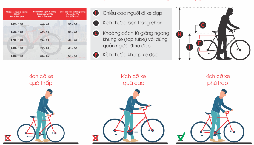 kich-co-xe-dap-dia-hinh-phu-hop