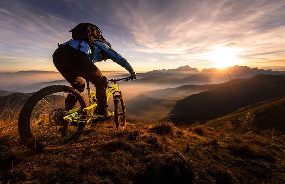 xcac-loai-xe-dap-dia-hinh