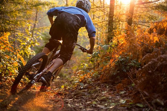 xe-dap-dia-hinh-co-nhieu-uu-diem-vuot-troi.