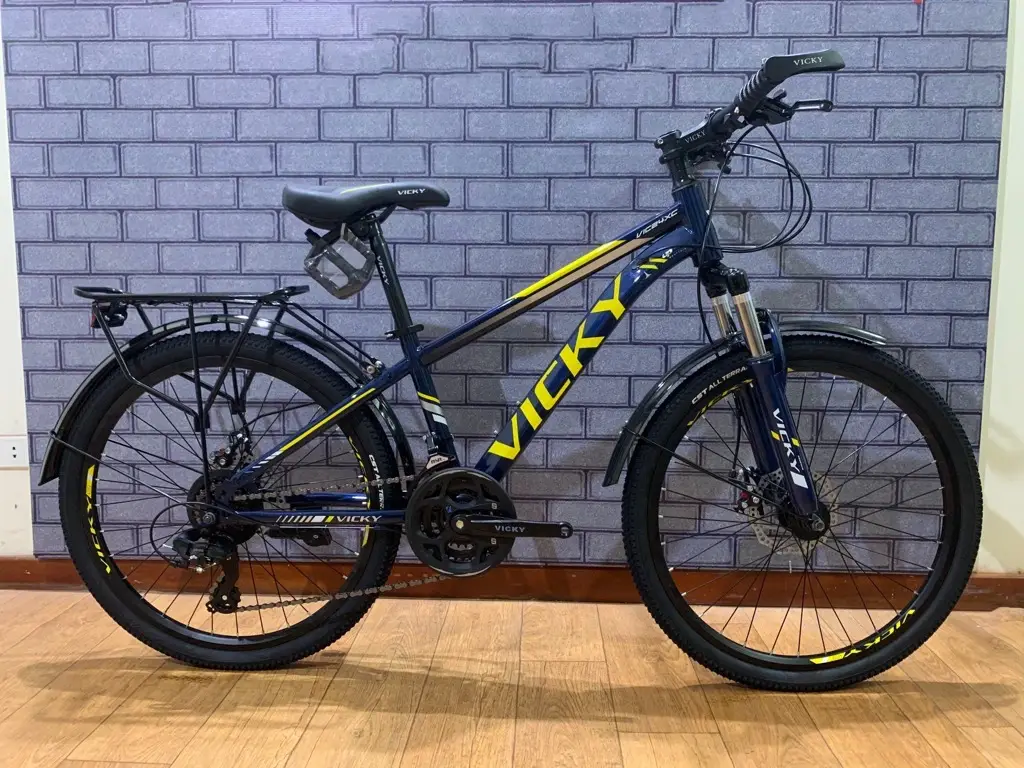 xe-dap-dia-hinh-vicky