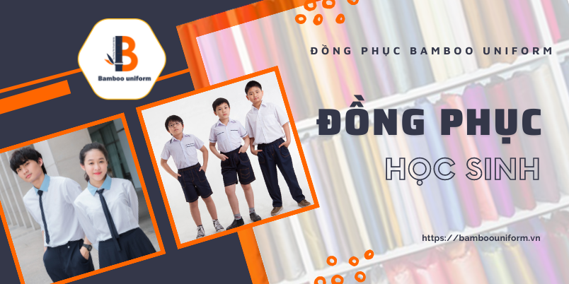 Cac loai vai may dong phuc hoc sinh