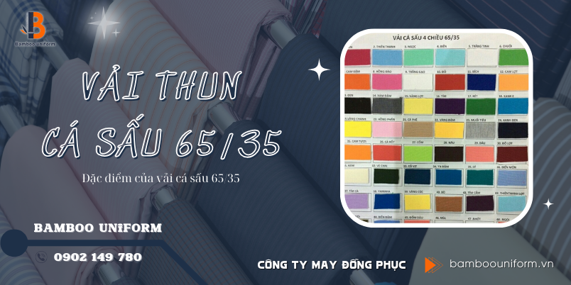 Dac diem cua vai thun ca sau 65-35