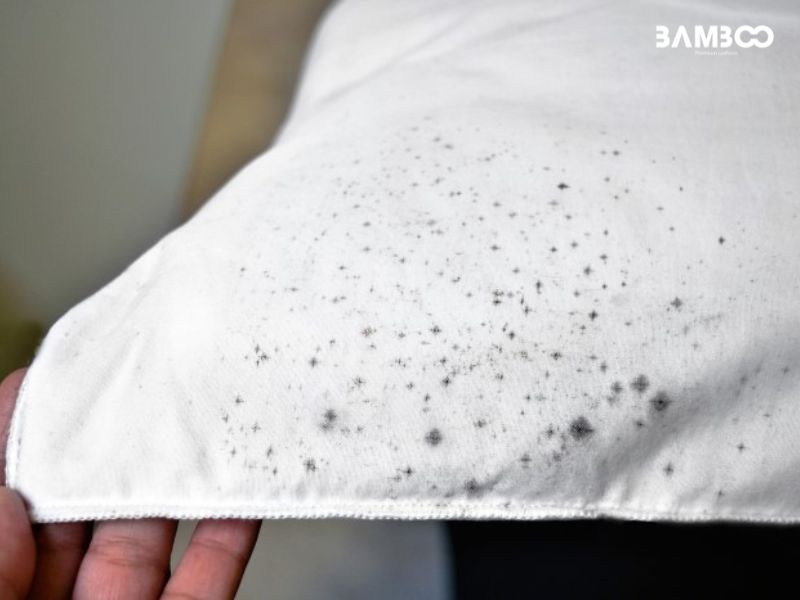 Áo đồng phục bị nấm mốc do để ẩm lâu sau khi giặt hoặc bảo quản nơi ẩm thấp