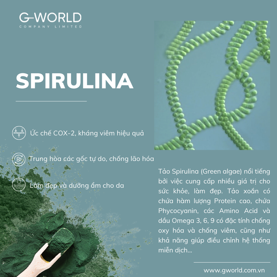 Tảo xoắn giúp làm đẹp da và cải thiện vóc dáng