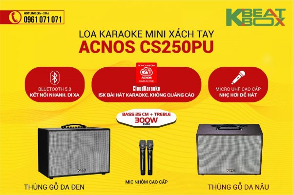 Loa karaoke xách tay CS250PU