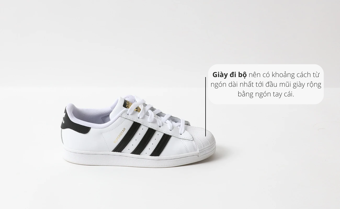 Cách đo size giày