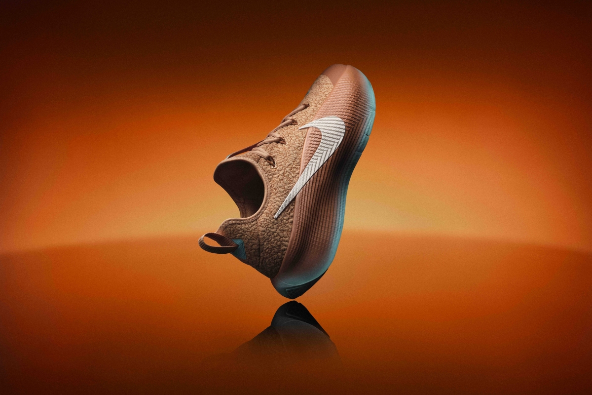 Thiết kế LeBron TR1