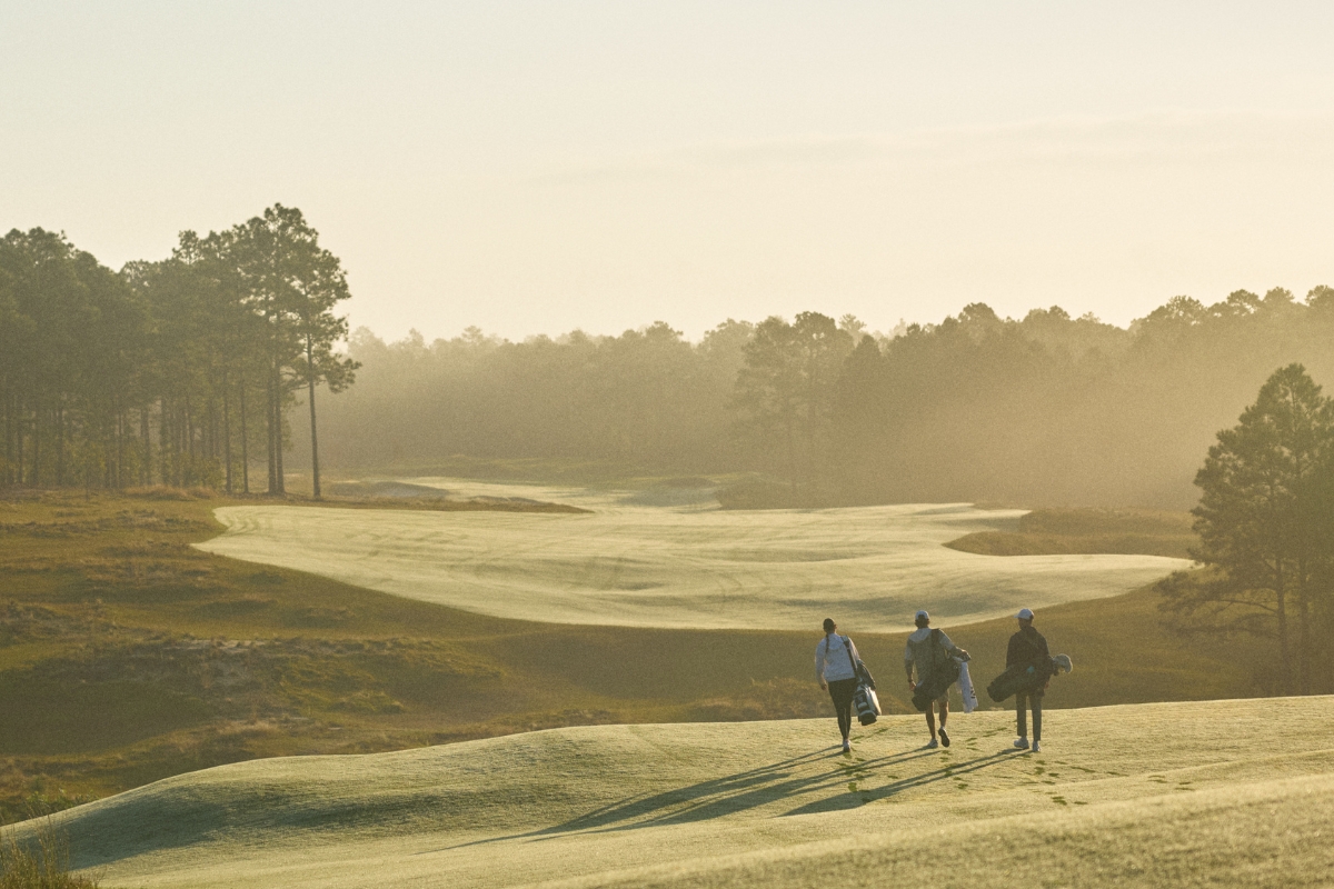 Sự chuyên nghiệp của Adizero ZG