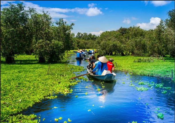 Tour rừng tràm Trà Sư