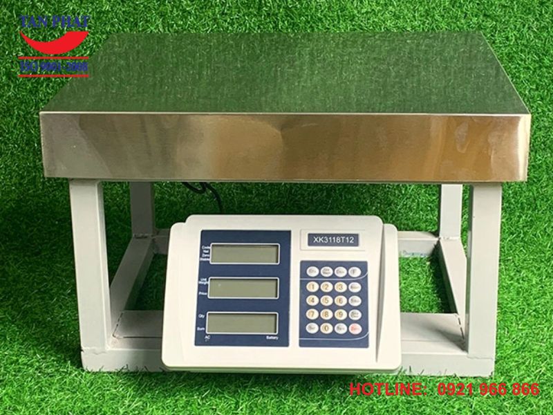 Cân ghế điện tử T12