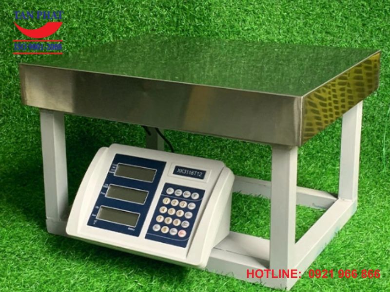 Cân điện tử ghế ngồi XK3118T12