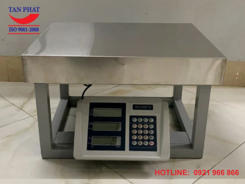Cân ghế điện tử XK3118T12