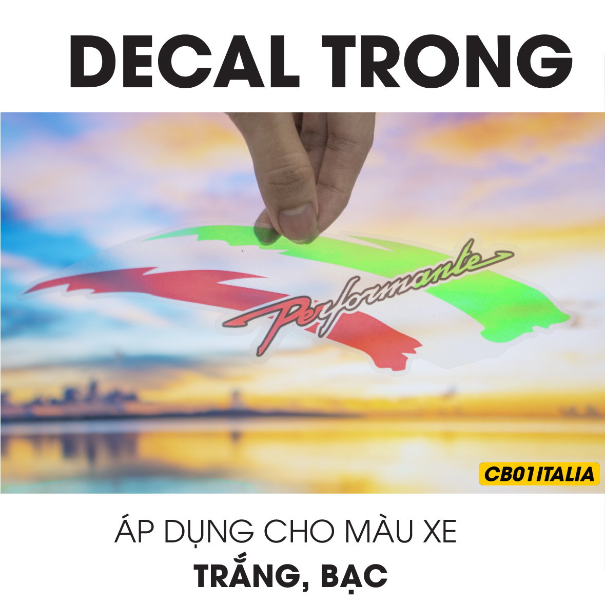 Minh hoạ decal in trong mẫu CB01ITALIA