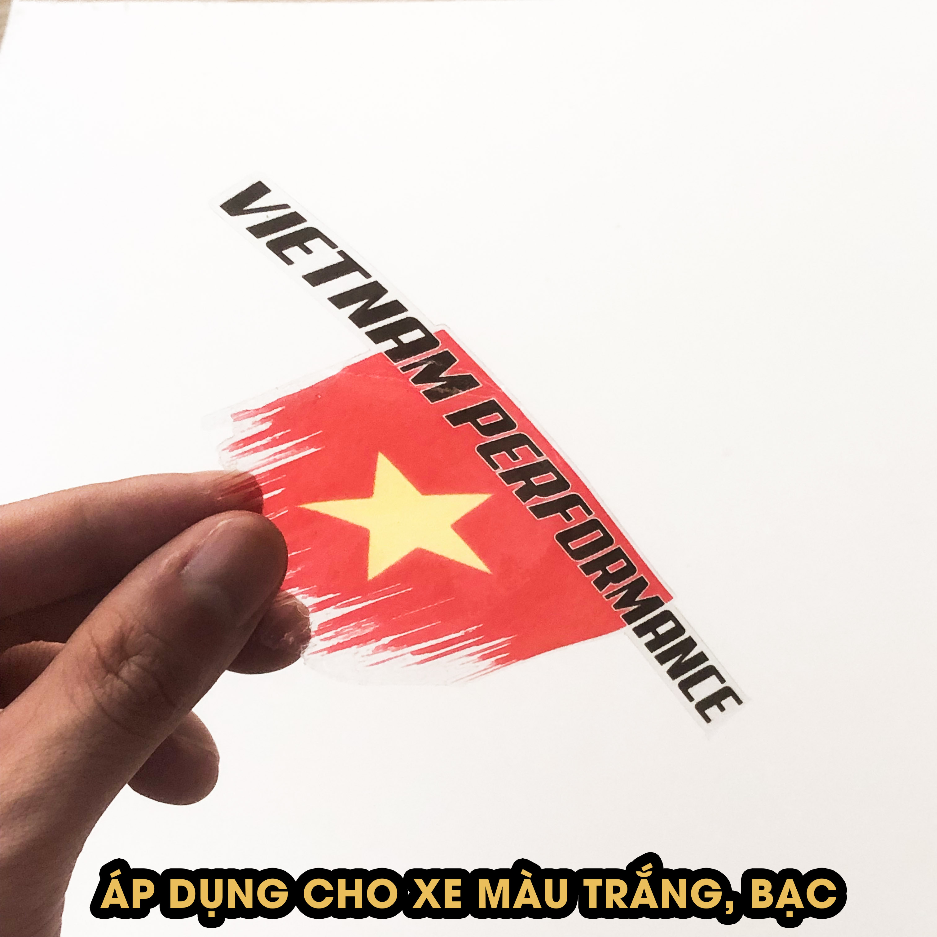 Decal in trong dành cho xe trắng