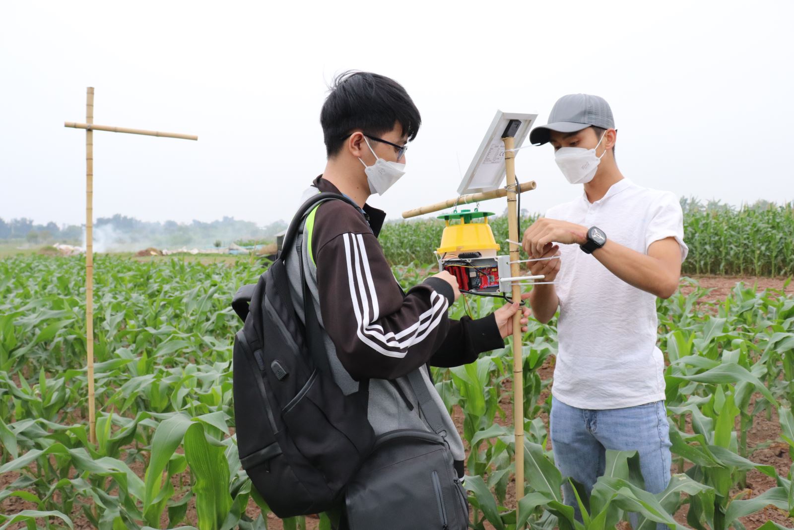 Công nghệ kết nối trong sản xuất nông nghiệp thông minh và định hướng cho Việt Nam