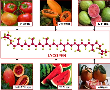 Chiết tách lycopen từ quả gấc và chế tạo nano lycopen ứng dụng trong dược phẩm được cấp 02 bằng sáng chế