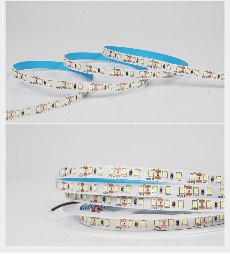 Đèn led dây dán 24V 2835 120LED IP20 8MM loại Đơn sắc