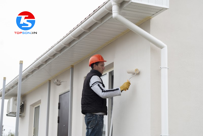 phối màu sơn nhà cấp 4