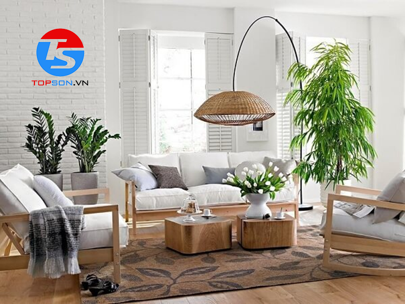 phối màu sơn nhà cấp 4