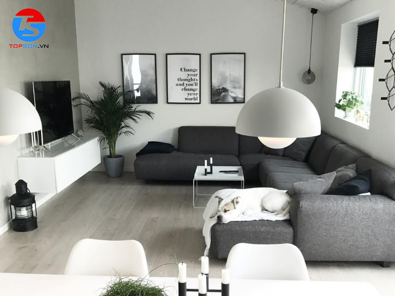 phối màu sơn cho nhà hiện đại