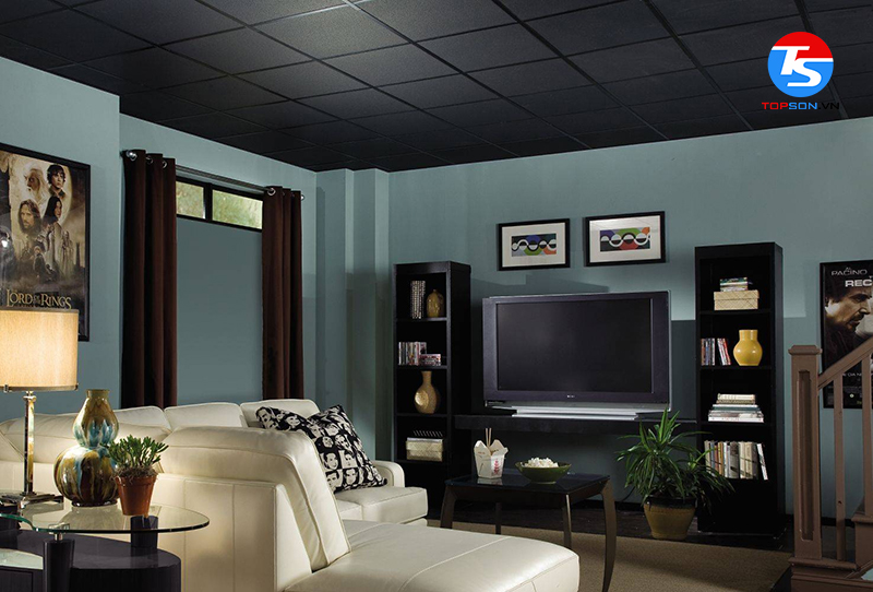 Đơn vị cung cấp sản phẩm sơn chất lượng hiện nay