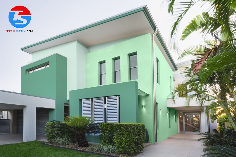 tuổi Quý Hợi sơn nhà màu gì