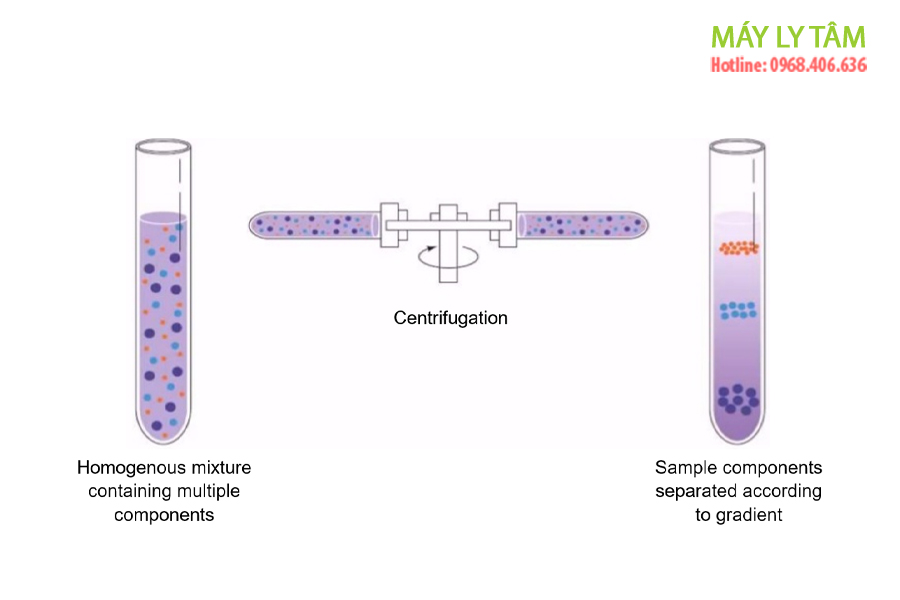 Mô tả mẫu máu: Trước và sau quá trình ly tâm