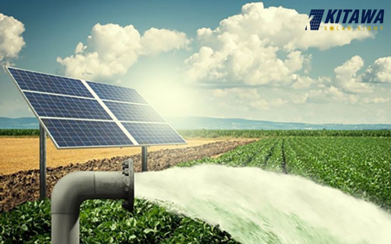 máy bơm năng lượng mặt trời